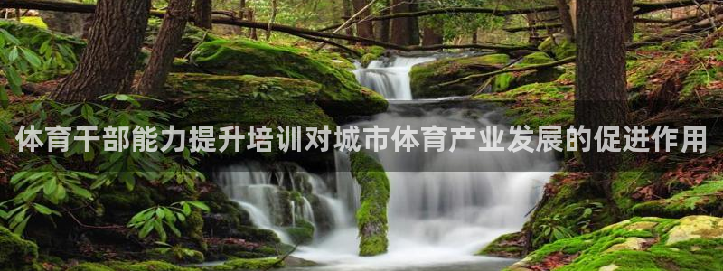 极悦平台注册申请流程详解图：体育干部能力提升培训对城