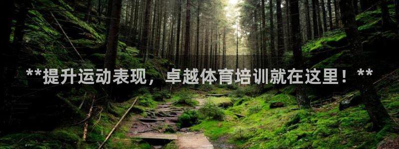 极悦平台代理怎么做：**提升运动表现，卓越体育培训就
