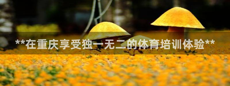 极悦平台注册官网下载：**在重庆享受独一无二的体育培