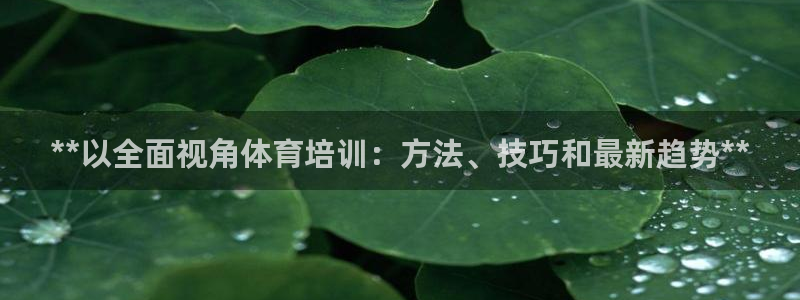 极悦平台登录入口注册不了：**以全面视角体育培训：方