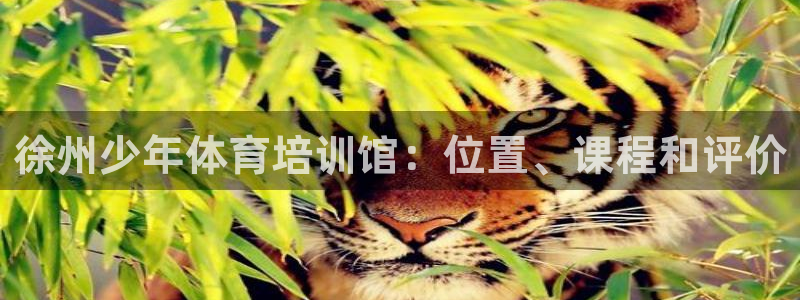 极悦平台告7O777：徐州少年体育培训馆：位置、课程