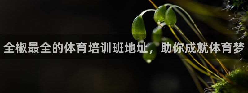 极悦娱乐的最新版本更新内容是什么：全椒最全的体育培训