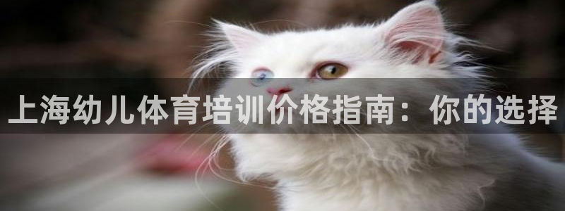 极悦平台注册：上海幼儿体育培训价格指南：你的选择