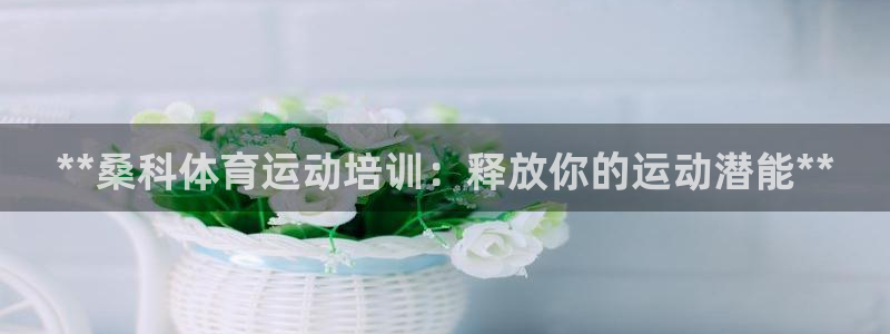 极悦平台官方网址查询：**桑科体育运动培训：释放你的