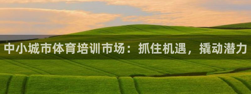 极悦娱乐挂机赚钱是真的吗吗：中小城市体育培训市场：抓