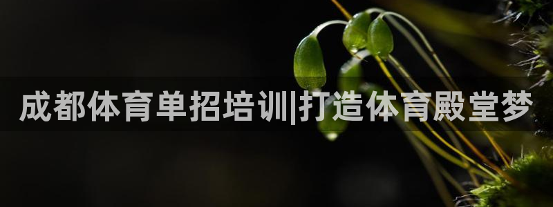 极悦平台官网下载中心：成都体育单招培训|打造体育殿堂