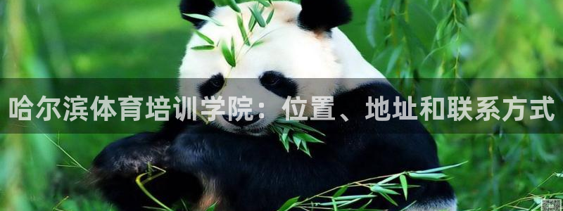 极悦娱乐会被骗吗：哈尔滨体育培训学院：位置、地址和联