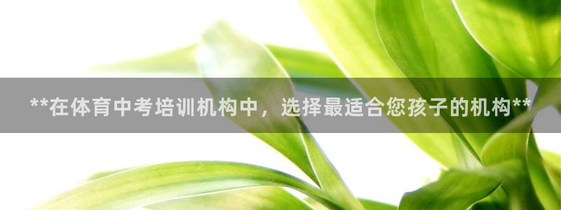 极悦平台网址AGHF8点C0M：**在体育中考培训机