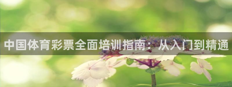 极悦平台平台注册方法与步骤是什么：中国体育彩票全面培