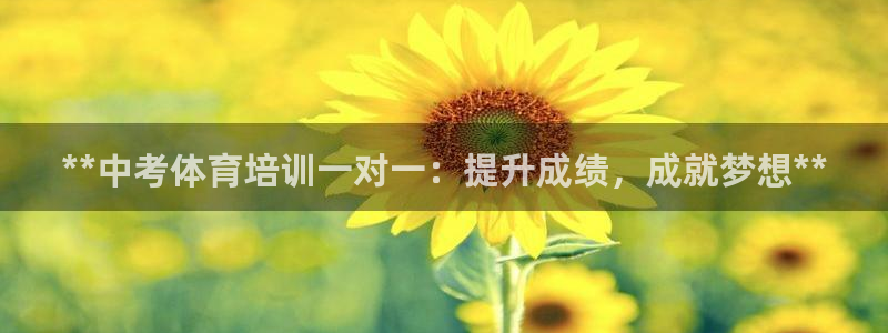 极悦娱乐：**中考体育培训一对一：提升成绩，成就梦想