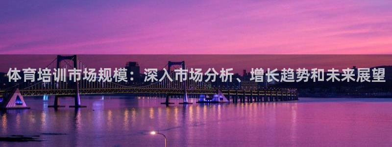 极悦平台是什么平台的：体育培训市场规模：深入市场分析