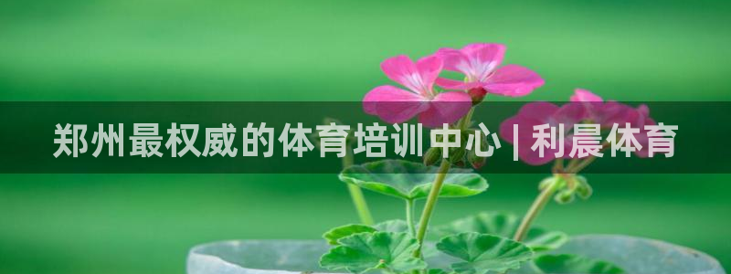 加盟极悦教育要多少钱：郑州最权威的体育培训中心 | 
