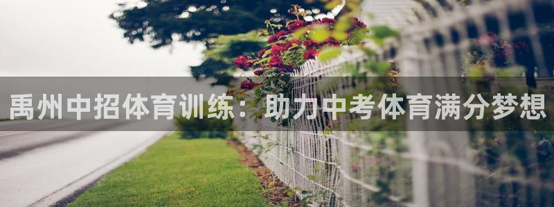 极悦平台客服团队：禹州中招体育训练：助力中考体育满分