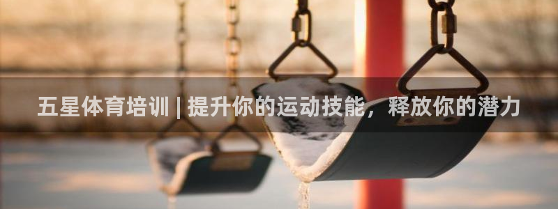 极悦官方网站入口网址大全：五星体育培训 | 提升你的