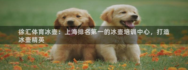 极悦娱乐股东结构：徐汇体育冰壶：上海排名第一的冰壶培