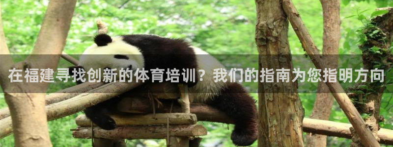 极悦平台用户评价与反馈：在福建寻找创新的体育培训？我