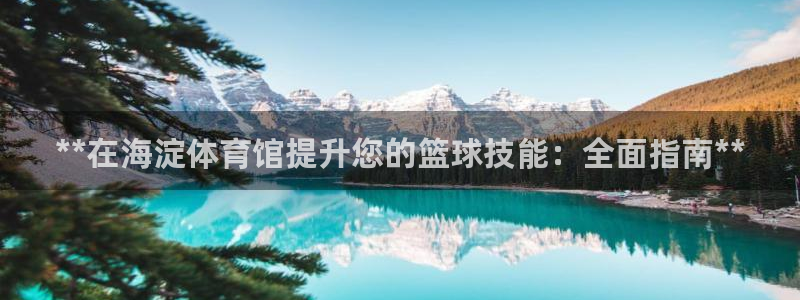极悦平台官网入口登录：**在海淀体育馆提升您的篮球技