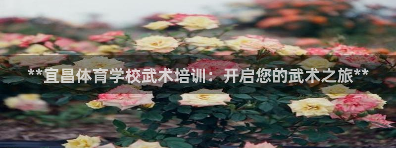 极悦平台平台登录入口：**宜昌体育学校武术培训：开启