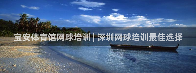 极悦平台股东名单：宝安体育馆网球培训 | 深圳网球培
