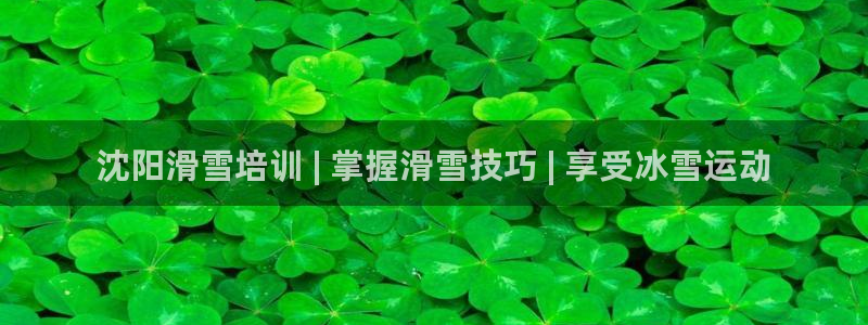 极悦平台德711.112的更新内容：沈阳滑雪培训 |