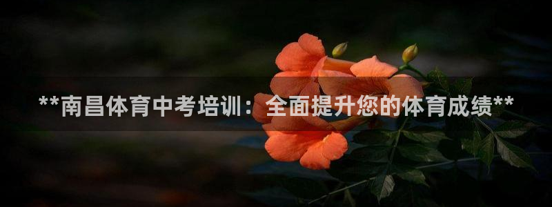 极悦平台注册官网入口：**南昌体育中考培训：全面提升