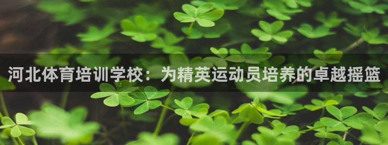 极悦平台德711.112的更新内容：河北体育培训学校
