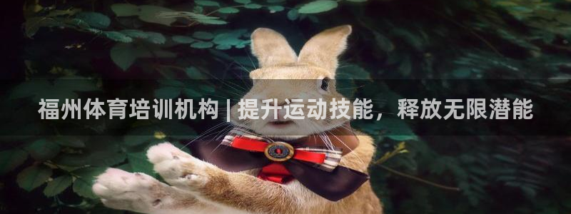 极悦平台代理怎么做赚钱：福州体育培训机构 | 提升运