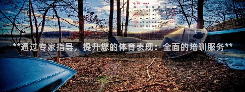 极悦平台是干什么的：**通过专家指导，提升您的体育表