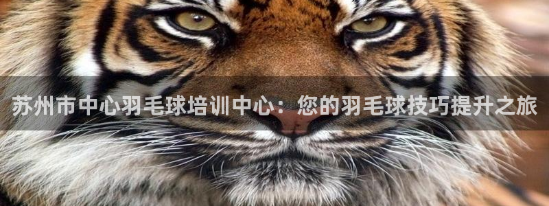 极悦娱乐部7O777：苏州市中心羽毛球培训中心：您的