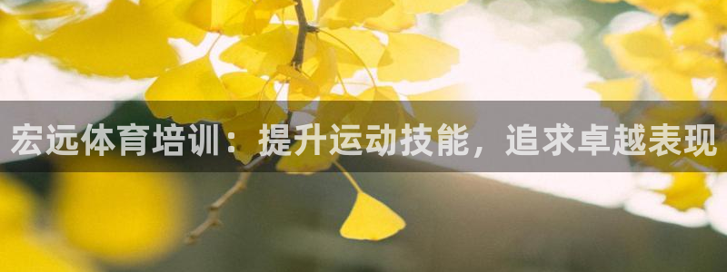 极悦官网旗舰店：宏远体育培训：提升运动技能，追求卓越