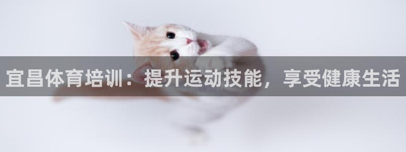 极悦平台平台注册方法与步骤图：宜昌体育培训：提升运动