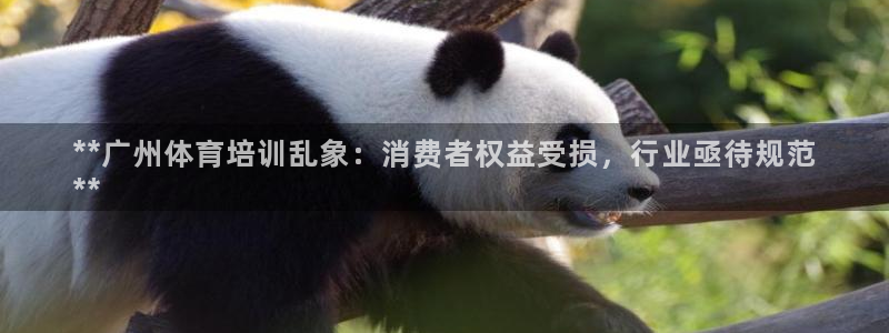 极悦平台官网登录入口网址：**广州体育培训乱象：消费