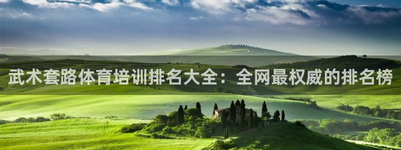 极悦平台平台注册方法与步骤：武术套路体育培训排名大全