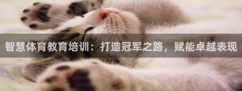 极悦平台代理怎么样：智慧体育教育培训：打造冠军之路，