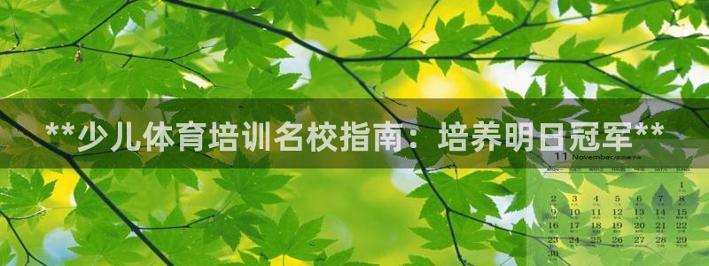 极悦娱乐登录拒绝访问怎么办理：**少儿体育培训名校指