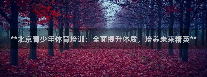 极悦平台使用教程图解：**北京青少年体育培训：全面提