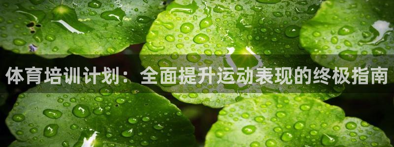 极悦平台官方网站首页登录：体育培训计划：全面提升运动