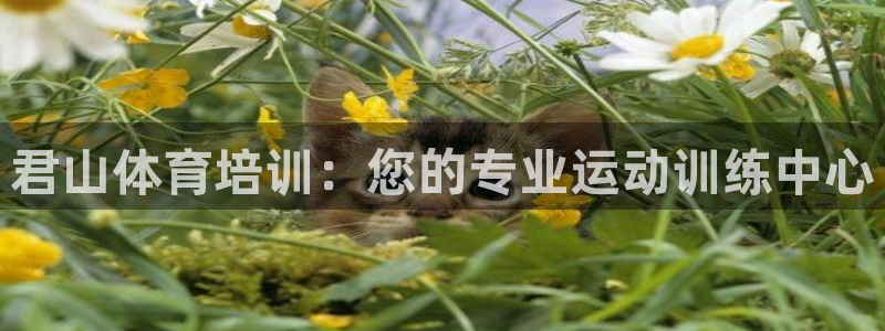 极悦平台是什么平台的：君山体育培训：您的专业运动训练