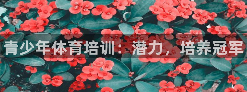 极悦平台平台注册方法与步骤视频：青少年体育培训：潜力