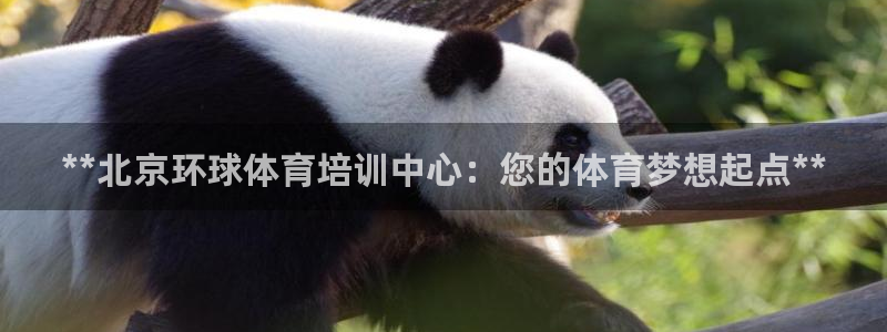 极悦官网首页登录入口：**北京环球体育培训中心：您的