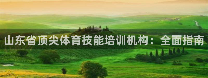 极悦平台登录入口注册账号：山东省顶尖体育技能培训机构