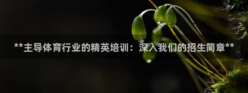 极悦娱乐会被骗吗是真的吗：**主导体育行业的精英培训