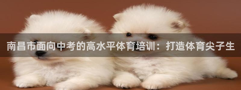 极悦平台官网下载中心app：南昌市面向中考的高水平体