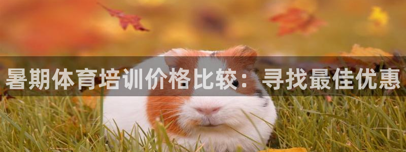 极悦平台注册用户名验证不了：暑期体育培训价格比较：寻
