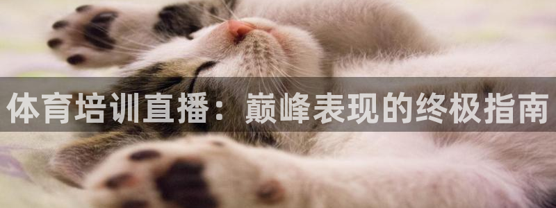 极悦平台布7O777：体育培训直播：巅峰表现的终极指