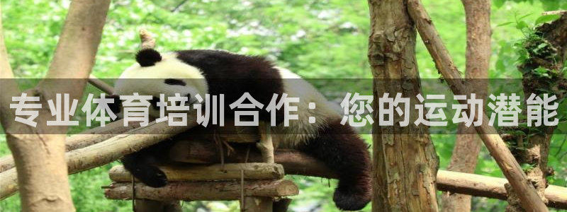 极悦平台非7O777：专业体育培训合作：您的运动潜能