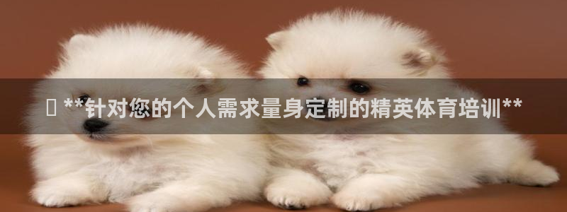 极悦平台是什么：✅ **针对您的个人需求量身定制的精