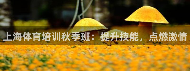极悦娱乐官网入口网址：上海体育培训秋季班：提升技能，