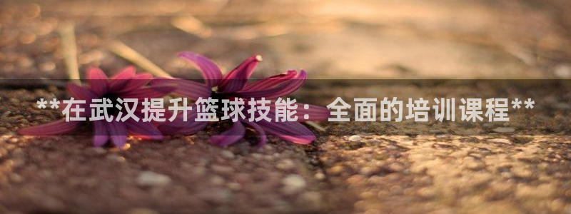 极悦平台官方网站入口链接下载：**在武汉提升篮球技能