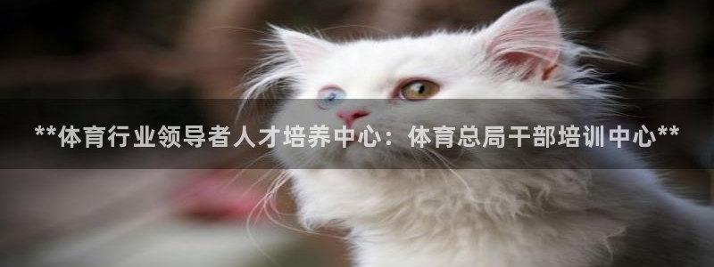 极悦娱乐登录拒绝访问怎么办理：**体育行业领导者人才